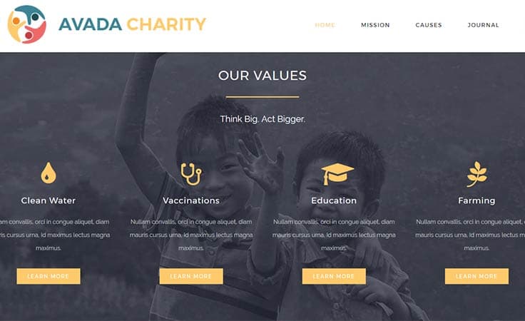The Avada Charity theme