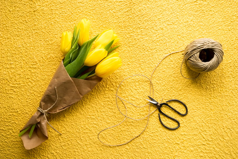 Yellow tulips with scissors on yellow background