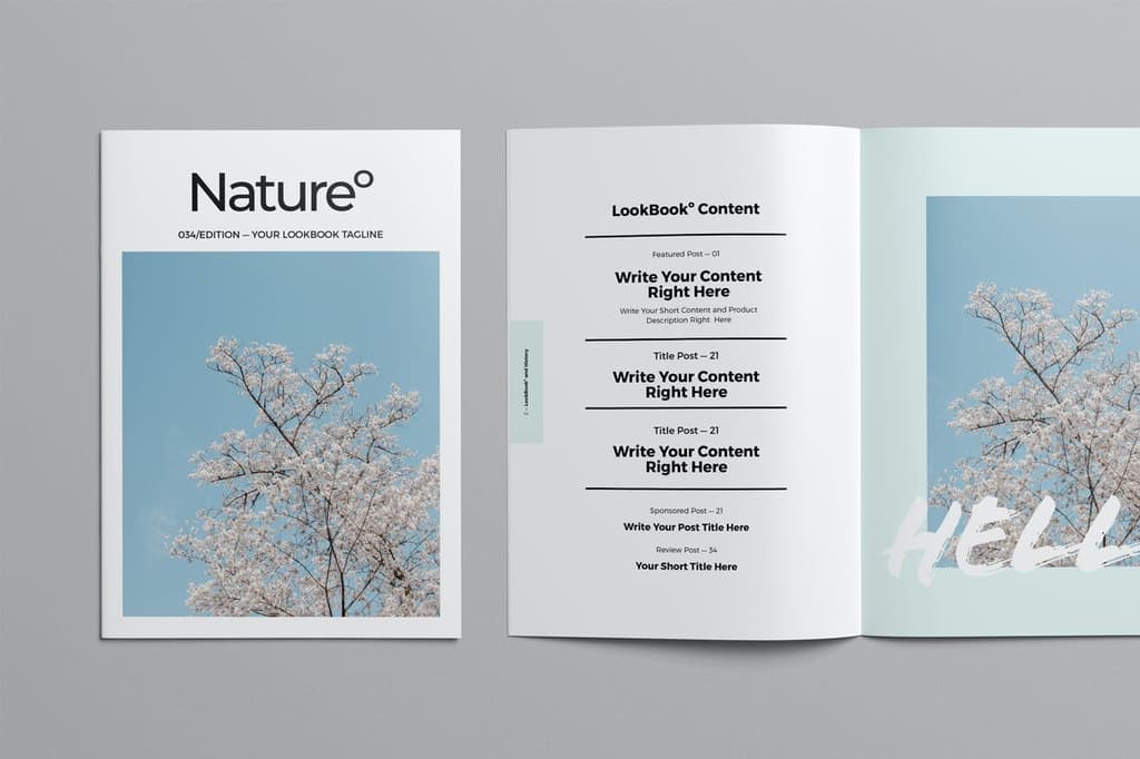 Magazine Layout with Light Blue Accents by broluthfi