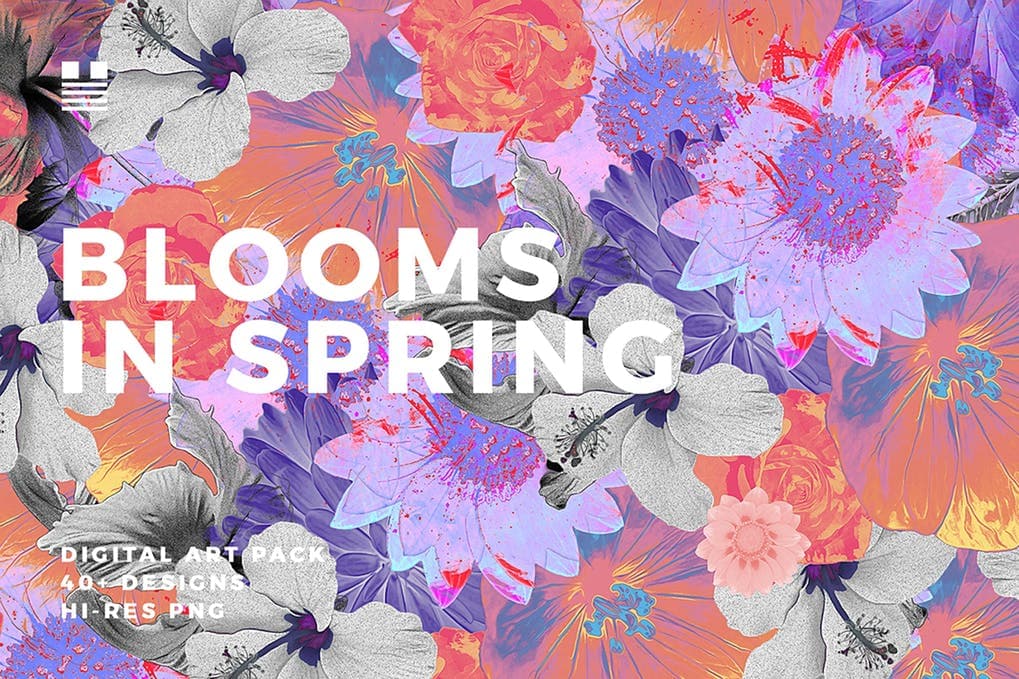 Blooms in Spring by hellomartco