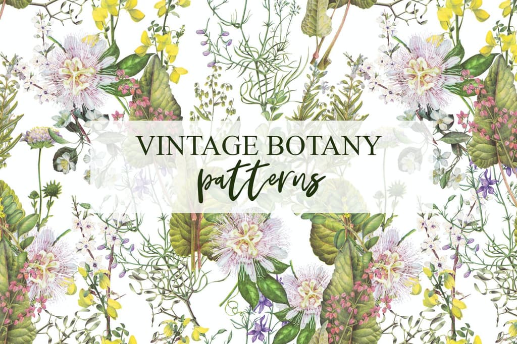 Botanical plants, vegetables, mushrooms patterns by kaleriia