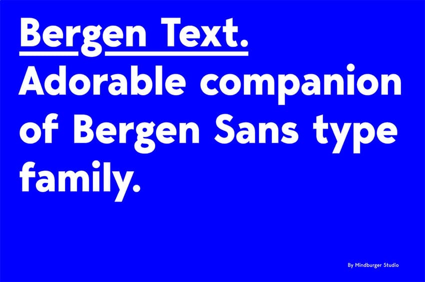 Bergen Text Sans Serif Font