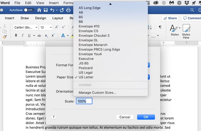How to Set the Print Size of the Paper