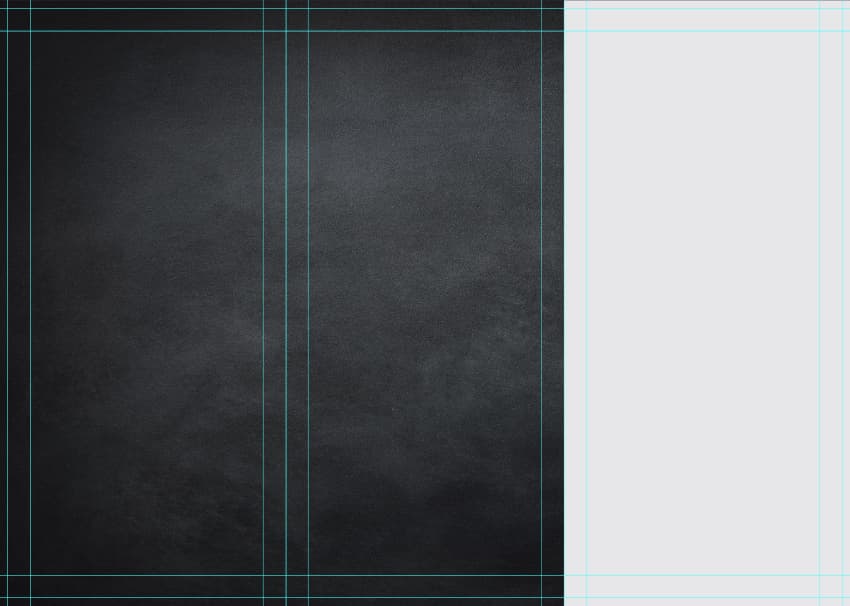 Place a light gray #e6e7e8 102 x 216-millimeter rectangle on the right-hand side of the "Back" document. 