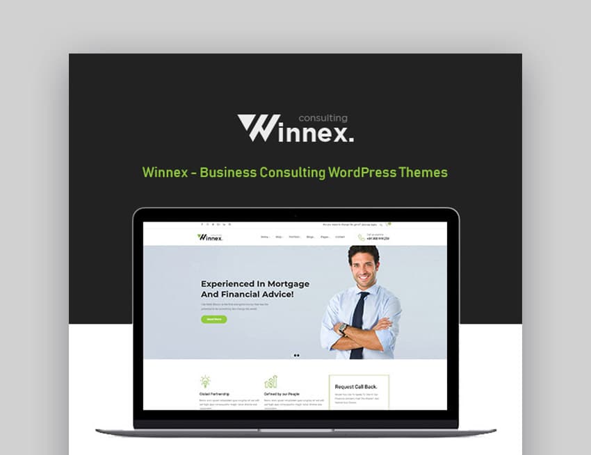 Winnex Business Consulting WordPress Themes