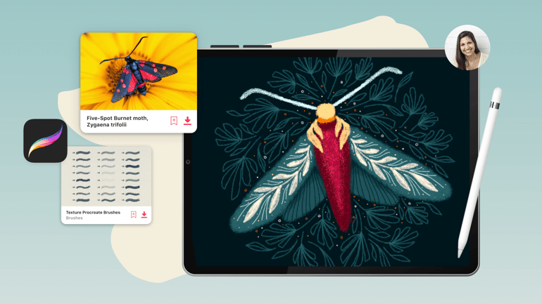 Made With Envato: How to Create Magical Procreate Illustrations with Every Tuesday
