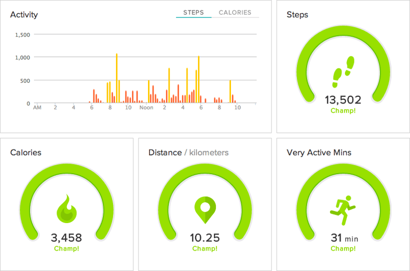 Fitbit day