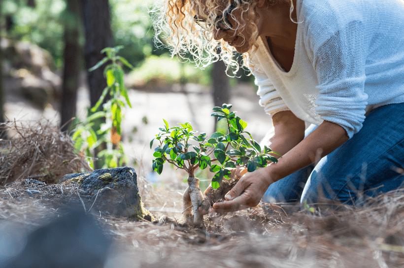 Envato goes carbon neutral - photo of woman planting a tree
