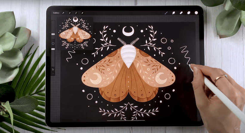Every Tuesday creating her Magical Moth Illustration in Procreate